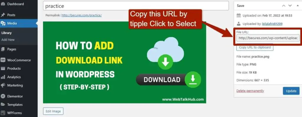 How To Add A Download Link In WordPress